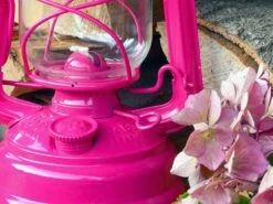 Feuerhand Baby Special 276 Telemagenta Stormlamp 9 Feuerhand Baby Special 276 Telemagenta Stormlamp -Buitenkamperen feuerhand stormlamp magenta 4 ecommerce bd07
