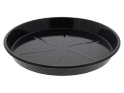 The Bastard Large Druippan