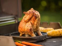 Weber Style Gevogeltestomer -Buitenkamperen weber style gevogeltestomer 3 ecommerce 9433